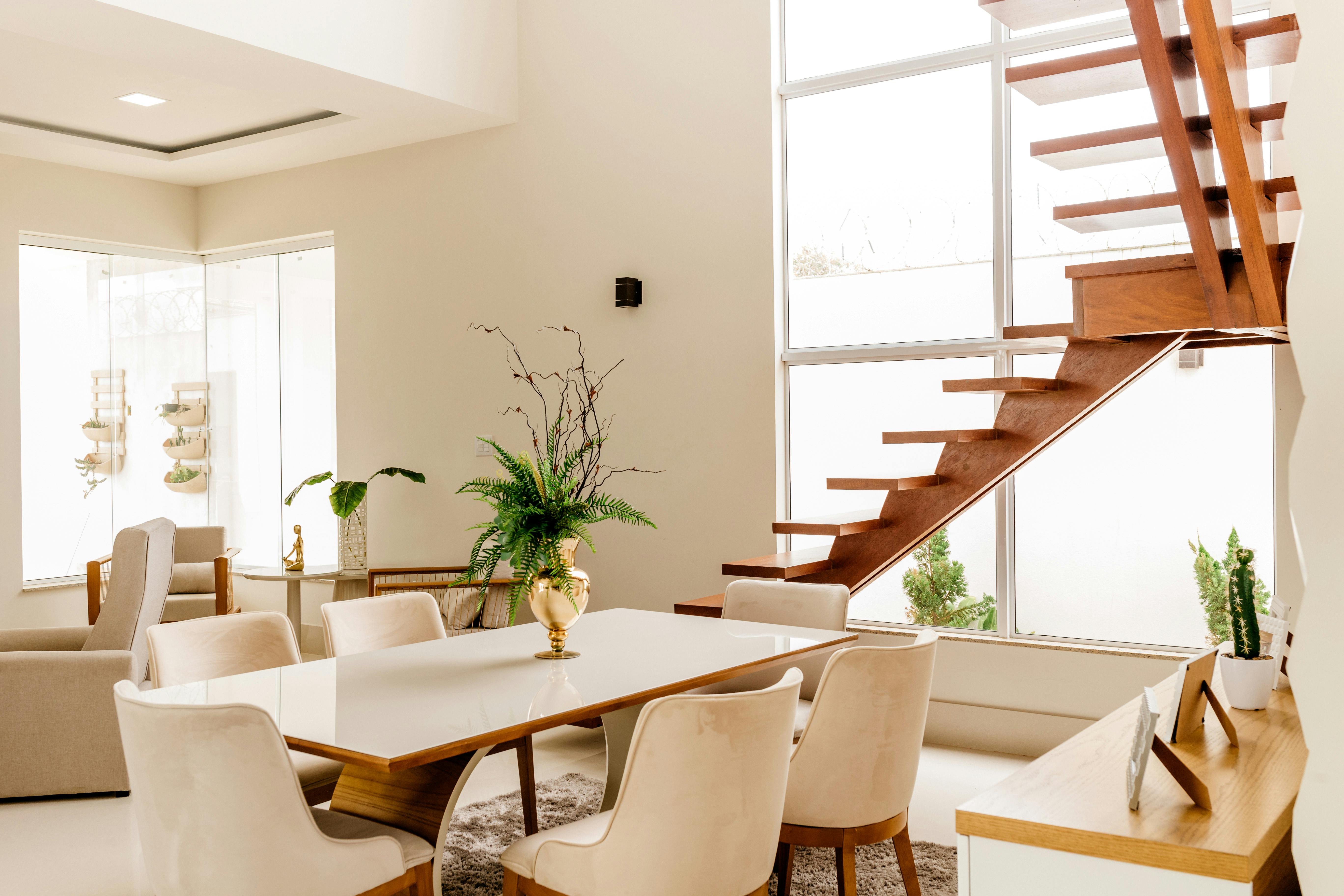 An organized, clean living room with air-purifying plants